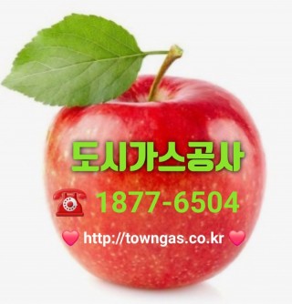도시가스공사(레드애플).jpg